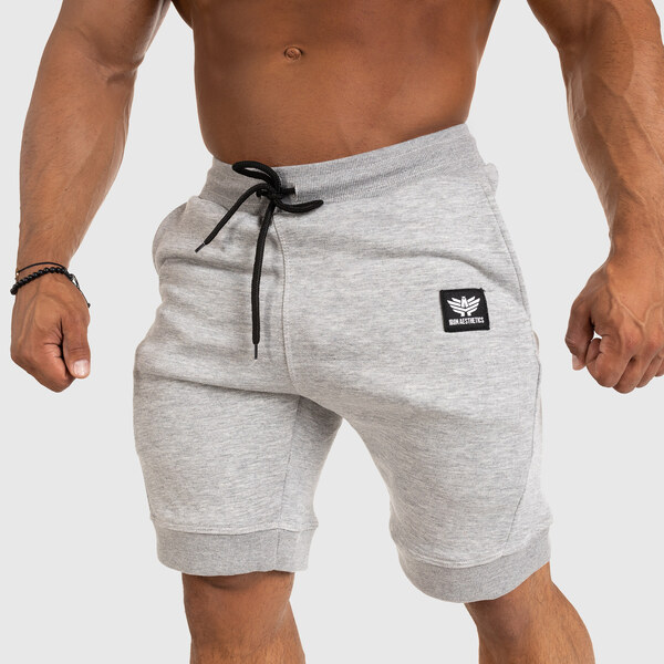 Pánske teplákové kraťasy Iron Aesthetics Badge, svetlo sivé 26163800