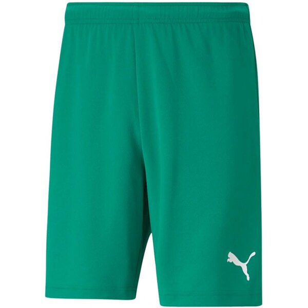Pánske teamRISE Short M 704942 05 - Puma 28004931