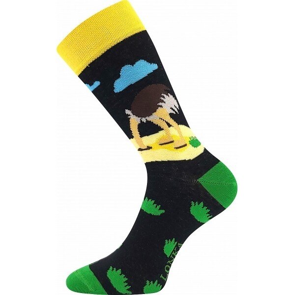 WOODOO farebné veselé ponožky Lonka - PŠTROS - 1 pár 28204764