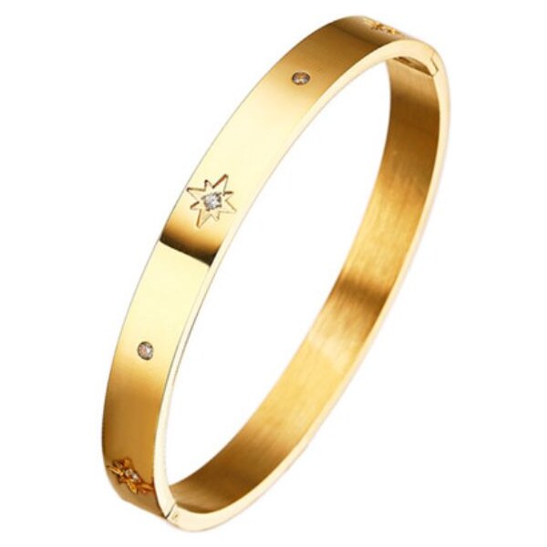 SWAROVSKI Elements Swarovski e. zlatý náramok pevný North Wind seb6020 62655117