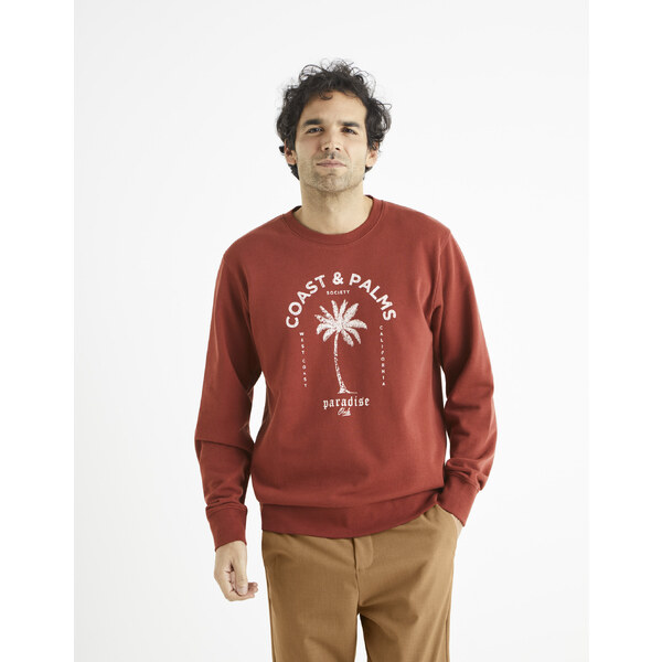 Celio Sweatshirt Begrif with print - Men 55705946