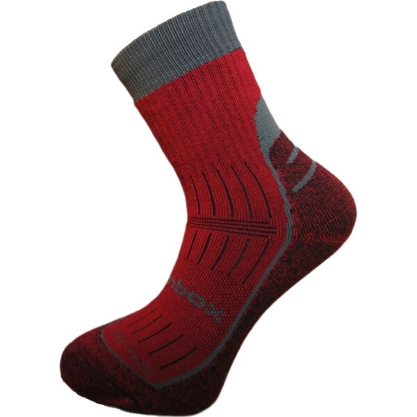 BX-7 DURABLE bambusové ponožky BAMBOX Vínová 39-42 1 pár 60193258