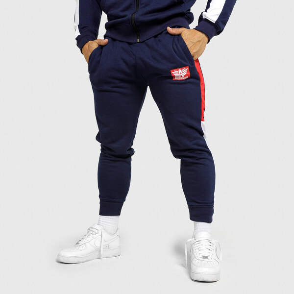 Jogger tepláky Iron Aesthetics Tricolora, navy 36371716
