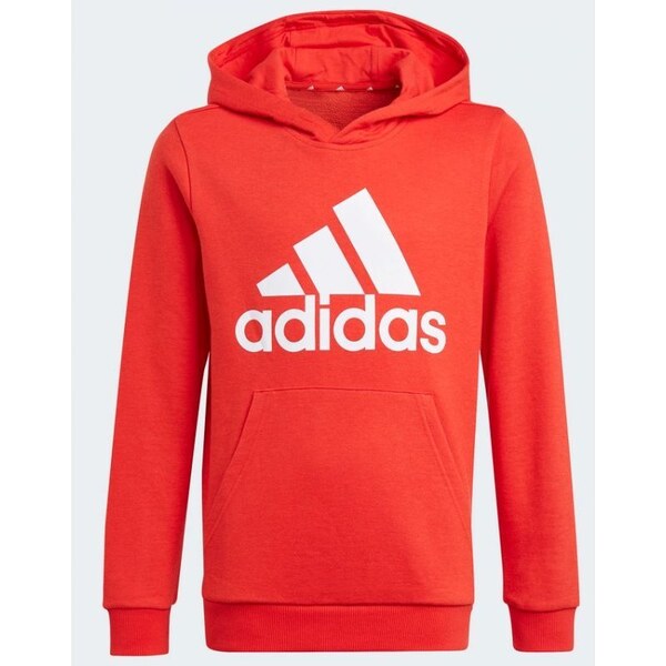 Detská mikina Essentials Big Logo Hoodie Jr GN4037 - Adidas 36598535