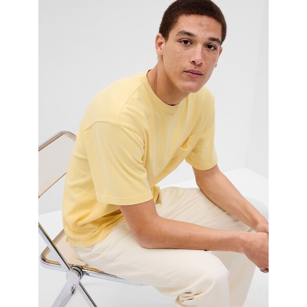 GAP Pánske Bavlnené tričko s vysokou gramážou 513718-03 66268271