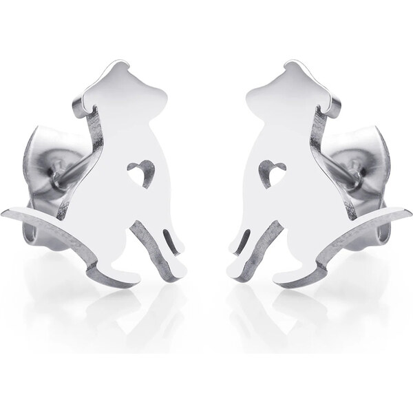 Dámske náušnice z chirurgickej ocele PERRITA 39176867