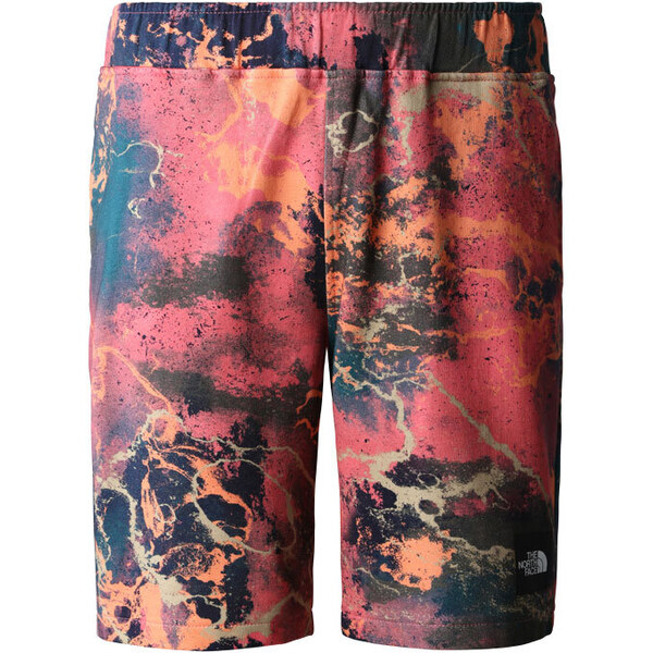 The North Face M Summer Logo Shorts - Pánske - Nohavice The North Face 66356901