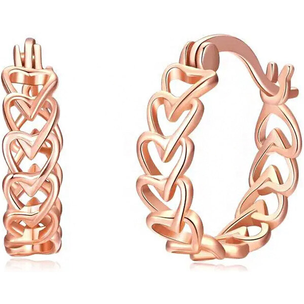 Dámske strieborné náušnice WREN 41105268