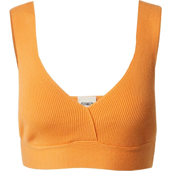 ABOUT YOU x Laura Giurcanu Vyšívaný top Janine oranžová 58464022