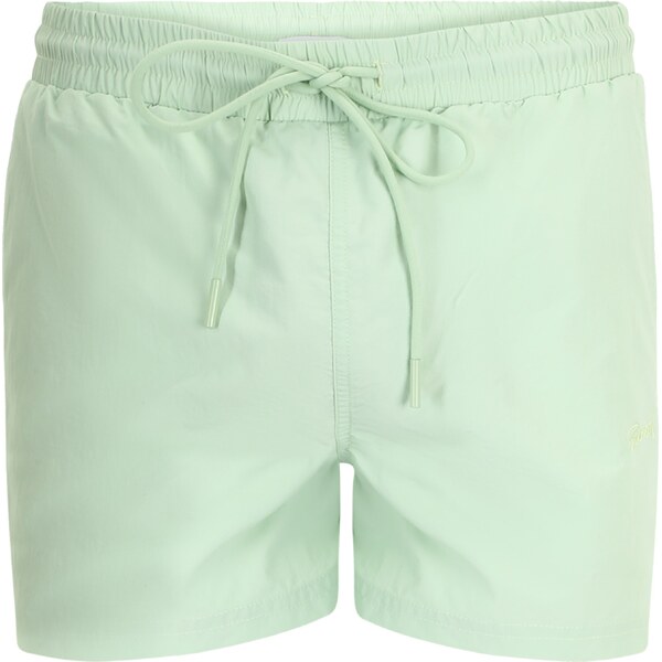 Sinned x ABOUT YOU Plavecké šortky ALEJANDRO mätová 41385794