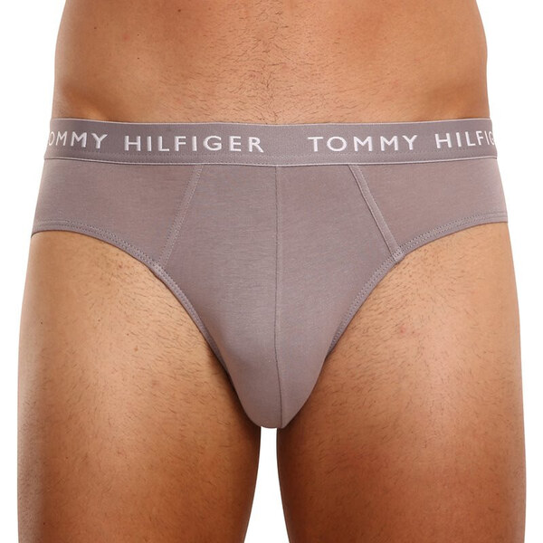 3PACK pánske slipy Tommy Hilfiger viacfarebné (UM0UM02206 0TG) 33893753