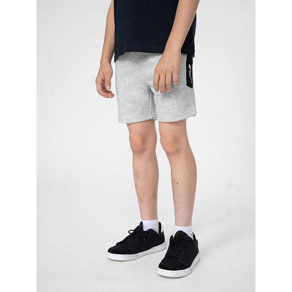 Športové kraťasy 4F 41607399