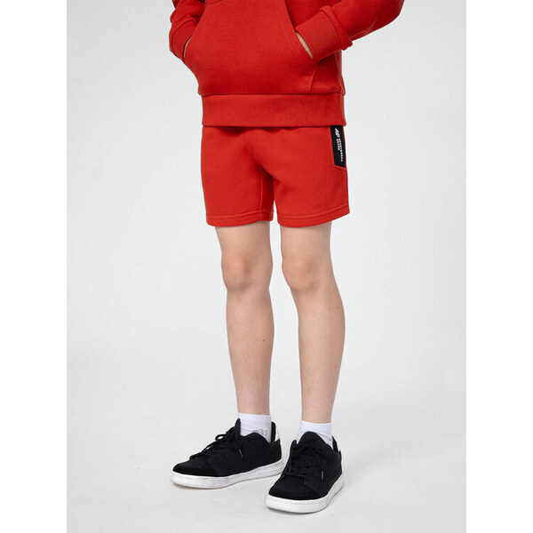 Športové kraťasy 4F 41607386