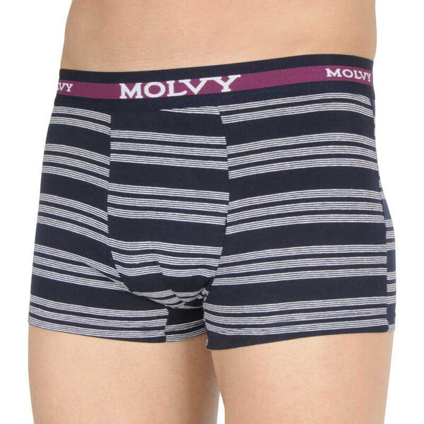 Pánske boxerky Molvy viacfarebné (MP-1031-BEU) 25214538