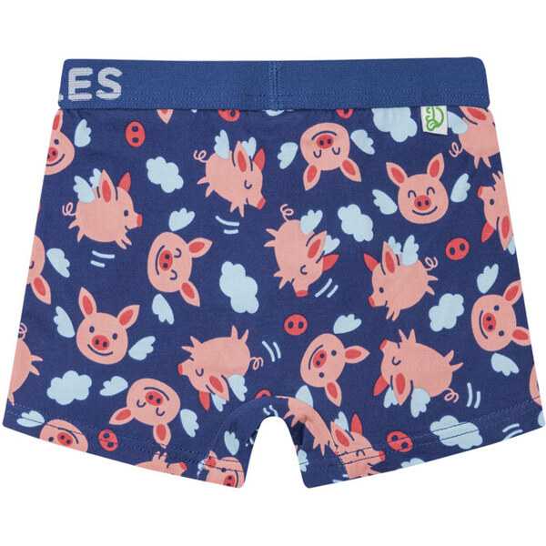 Veselé chlapčenské boxerky Dedoles Lietajúce prasiatka (GMBB093) 122 66060609
