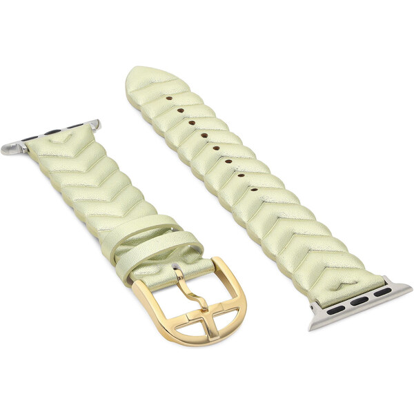 Náhradný remienok na hodinky Apple Watch Ted Baker 45310514