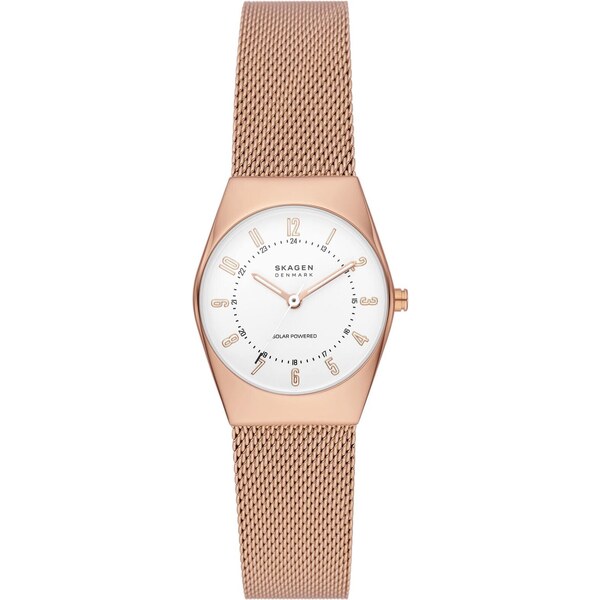 Hodinky Skagen 45323676