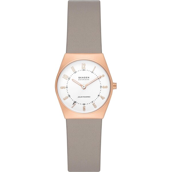 Hodinky Skagen 45316621