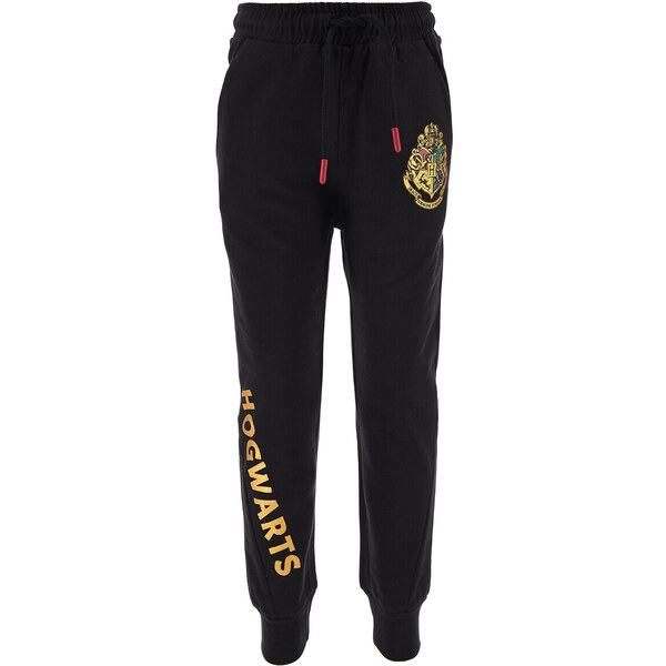 TEAM HEROES Tepláky/Vrchné oblečenie JOGGING HARRY POTTER TEAM HEROES 62497078