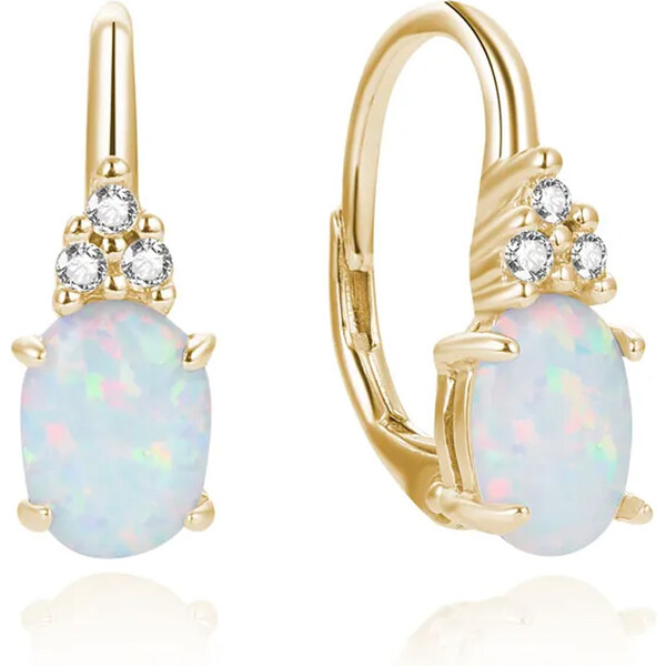 Dámske strieborné náušnice FOSTERA 43719773