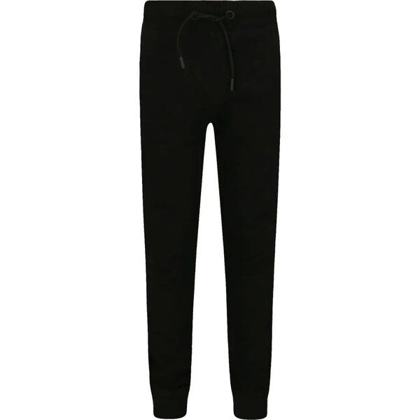 GUESS ACTIVE Teplákové nohavice | Regular Fit 30111840