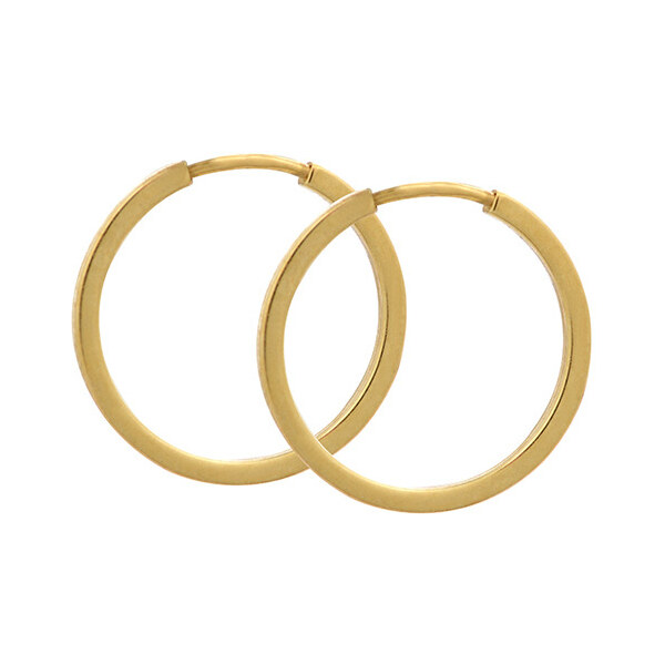 Soliter Zlaté náušnice kruhy 231 001 00199 66591838