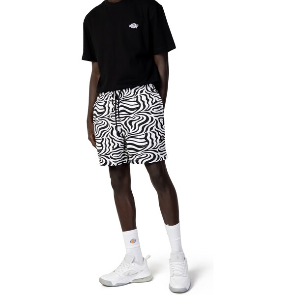 Pánske bermudy Dickies 66817930