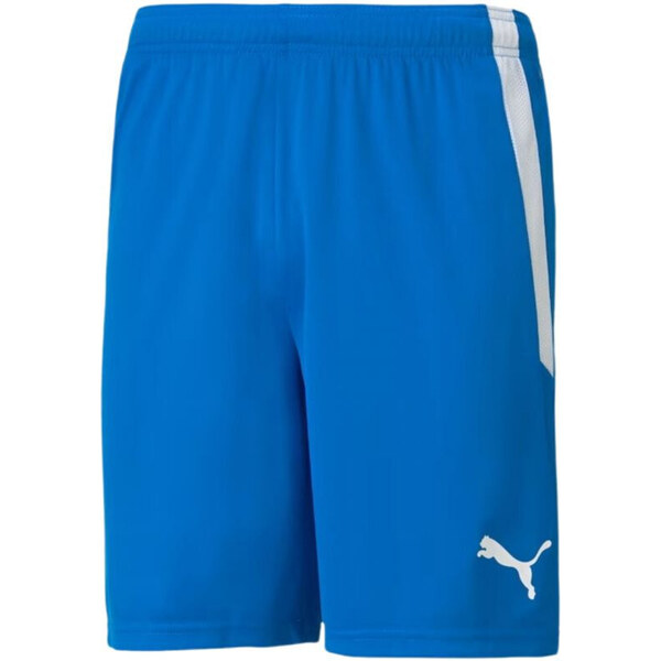Šortky Puma teamLIGA M 704924 02 49764313