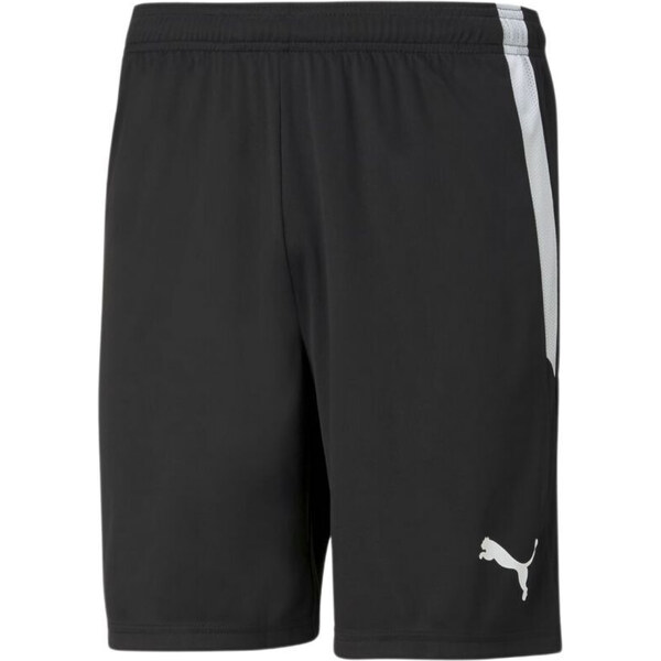 Šortky Puma teamLiga M 704924 03 49764433