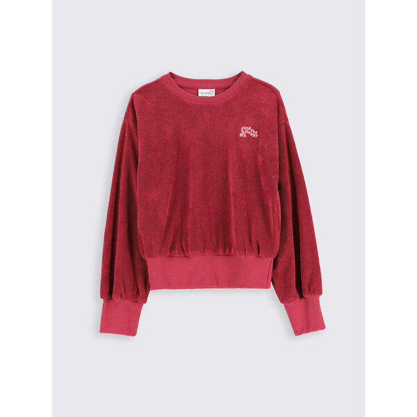 Mikina Coccodrillo 45019473