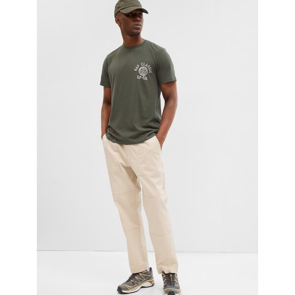 GAP Pánske Tričko s logom Gap 745115-00 66267863