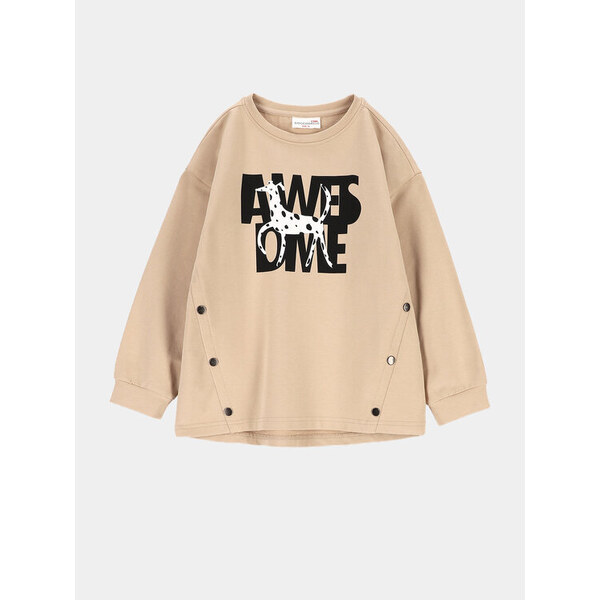 Mikina Coccodrillo 45203453