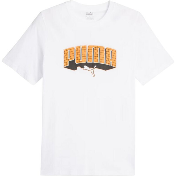 Pánske tričko Graphics Hip Hop Tee M 677189 02 - Puma 49765850