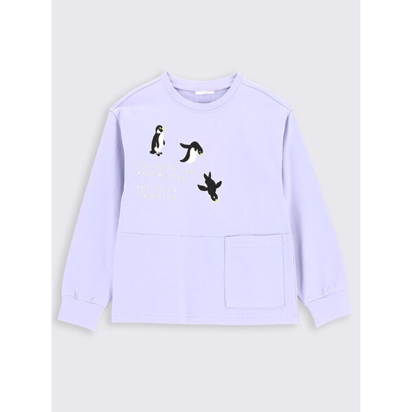 Mikina Coccodrillo 45468441