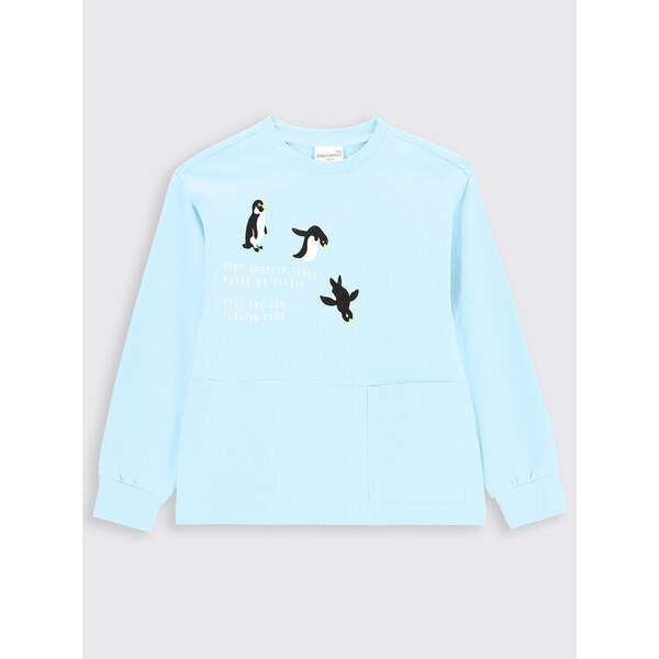 Mikina Coccodrillo 45476895