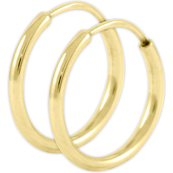 Soliter Zlaté náušnice kruhy 231 001 00333 66596268