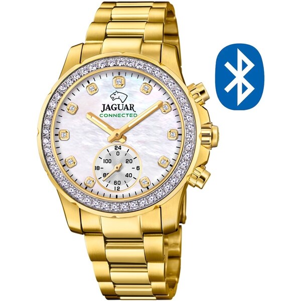 Jaguar Hybrid Connected J983/1 66588953