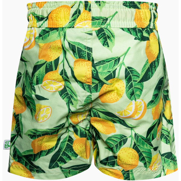 Veselé chlapčenské plavky Dedoles Citrony (D-K-SCL-S-SSH-C-1259) 1-2 48023025