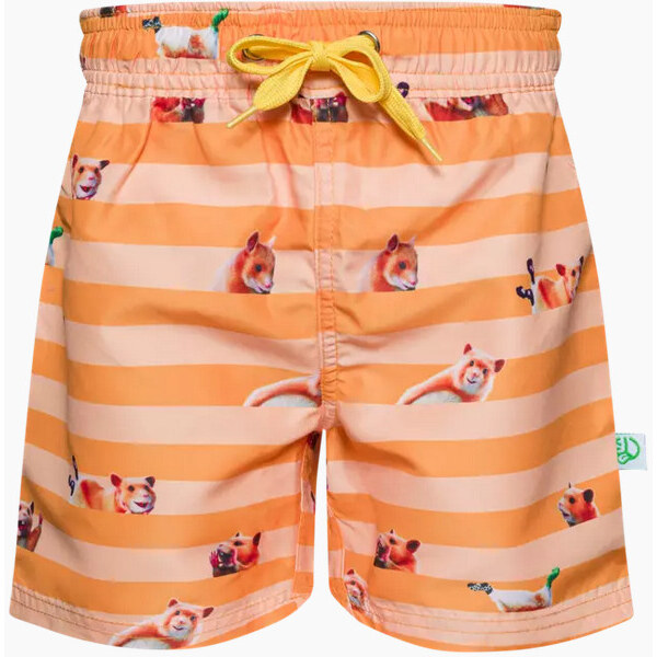 Veselé chlapčenské plavky Dedoles Škrečok a pásky (D-K-BW-SSH-C-RP 48023034