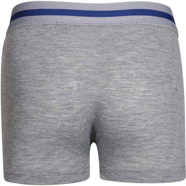 Detské boxerky Gianvaglia sivé (023) 86 66060746