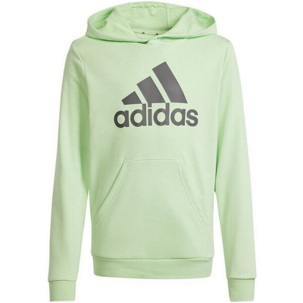 Mikina adidas Big Logo Hoodie Jr IS2591 49797267