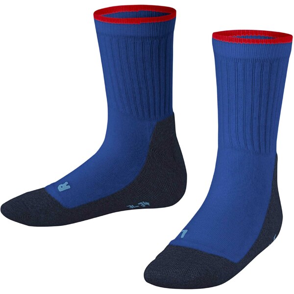FALKE Športové ponožky Active Everyday modrá / námornícka modrá / 65642671