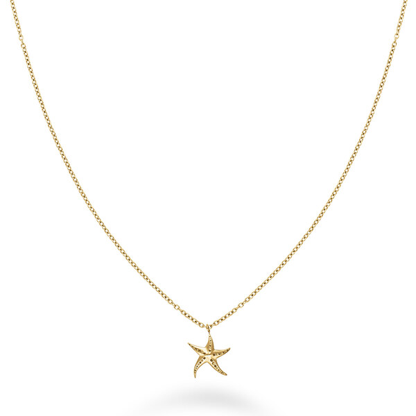 Rosefield Pozlátený náhrdelník s morskou hviezdicou Essentials JNSNG 66585341