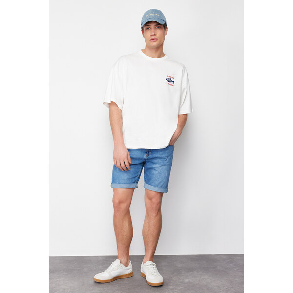 Pánske kraťasy Trendyol Denim 25481438