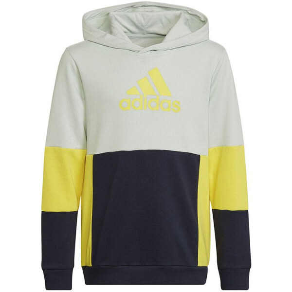 Adidas Colourblock Hoodie Jr HN8567 49806904