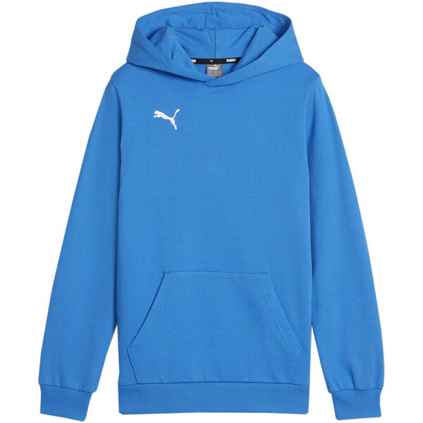 Mikina Puma Team Goal Casuals Hoddy Jr 658619 02 49809216