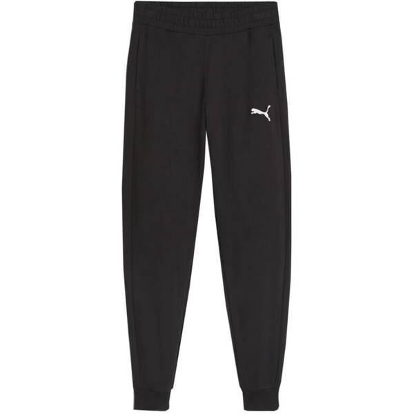 Puma Team Goal Jr nohavice 658601 03 49809221