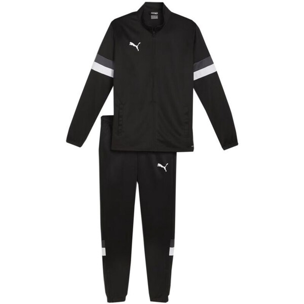 Tepláky Puma Team Rise M 658653 03 50260523