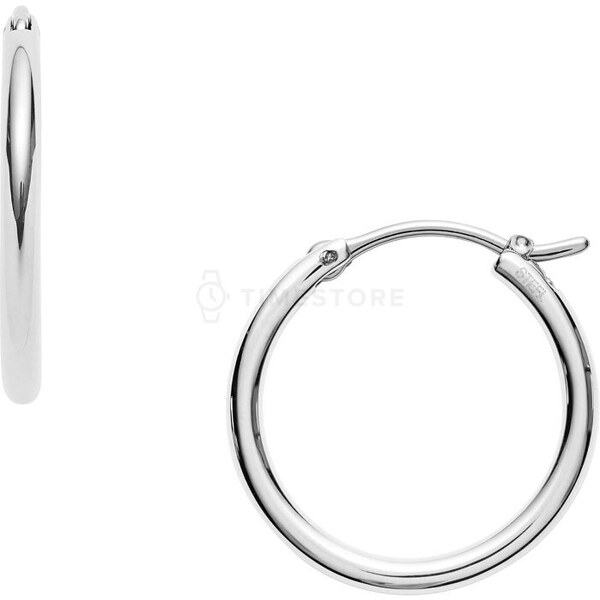 Fossil JOF00001040 JOF00001040 64814518