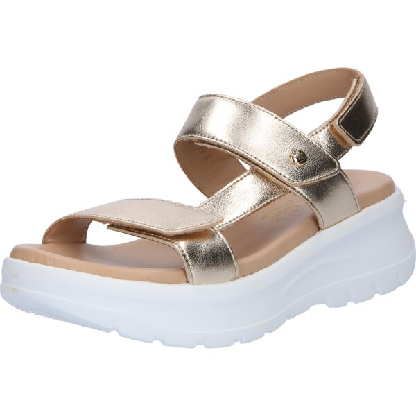 PANAMA JACK Sandále Noor zlatá 54829042